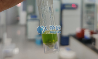 行星式球磨機研磨番茄葉片實驗|浙江大學(xué)農(nóng)學(xué)院用于后續(xù)提RNA操作